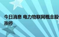 今日消息 电力物联网概念股快速拉升，智光电气、科陆电子涨停