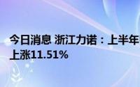 今日消息 浙江力诺：上半年归母净利润4325.21万元，同比上涨11.51%