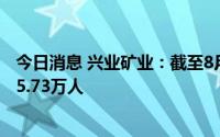 今日消息 兴业矿业：截至8月19日，公司在册股东总人数为5.73万人