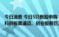 今日消息 今日5只新股申购：分别为深交所主板豪鹏科技、科创板奥浦迈、创业板新巨丰、聚胶股份，北交所天铭科技