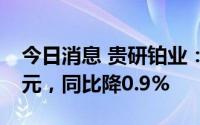 今日消息 贵研铂业：上半年归母净利2.62亿元，同比降0.9%