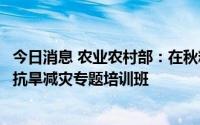 今日消息 农业农村部：在秋粮生产集中地区，尽快组织开设抗旱减灾专题培训班