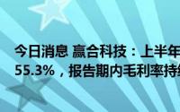 今日消息 赢合科技：上半年归母净利润2.64亿元，同比涨155.3%，报告期内毛利率持续承压