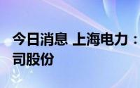 今日消息 上海电力：股东三峡集团减持1%公司股份