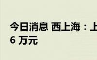 今日消息 西上海：上半年归母净利润5542.76 万元