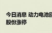 今日消息 动力电池回收板块持续拉升，金圆股份涨停