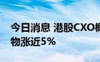 今日消息 港股CXO概念股全线反弹，药明生物涨近5%