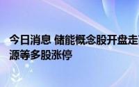 今日消息 储能概念股开盘走高，山东章鼓、三变科技、动力源等多股涨停