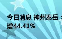 今日消息 神州泰岳：上半年归母净利润同比增44.41%