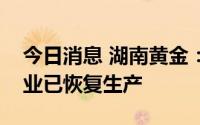 今日消息 湖南黄金：三级子公司新邵辰州锑业已恢复生产