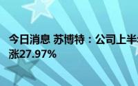 今日消息 苏博特：公司上半年高效减水剂平均销售价格同比涨27.97%