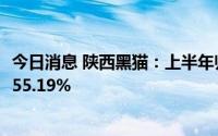 今日消息 陕西黑猫：上半年归母净利润4.36亿元，同比下降55.19%