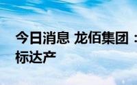 今日消息 龙佰集团：新能源电池材料即将达标达产