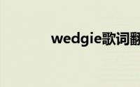 wedgie歌词翻译（wedgie）