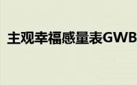 主观幸福感量表GWB中国版（主观幸福感）