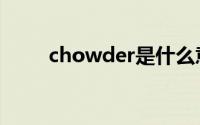 chowder是什么意思（chowder）