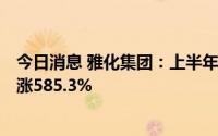 今日消息 雅化集团：上半年归母净利润22.62亿元，同比上涨585.3%