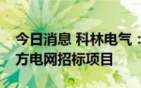 今日消息 科林电气：子公司中标2.45亿元南方电网招标项目