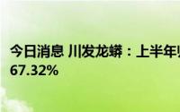 今日消息 川发龙蟒：上半年归母净利润7.88亿元，同比增长67.32%