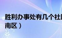 胜利办事处有几个社区（胜利社区居民生活区南区）