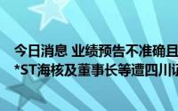 今日消息 业绩预告不准确且未预测亏损对期末净资产影响，*ST海核及董事长等遭四川证监局出具警示函