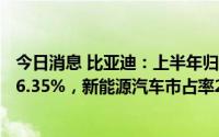 今日消息 比亚迪：上半年归母净利35.95亿元，同比增长206.35%，新能源汽车市占率24.7%