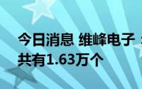 今日消息 维峰电子：创业板IPO网上中签号共有1.63万个