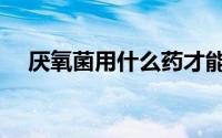 厌氧菌用什么药才能彻底杀死（厌氧菌）