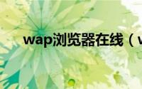 wap浏览器在线（wap浏览器V2006）