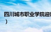 四川城市职业学院迎新网（四川城市职业学院）