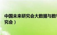 中国未来研究会大数据与数学模型专业委员会（中国未来研究会）