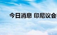 今日消息 印尼议会完成RCEP批准程序