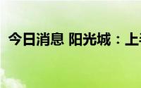 今日消息 阳光城：上半年净亏损35.65亿元