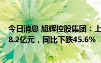 今日消息 旭辉控股集团：上半年股东权益应占核心净利润18.2亿元，同比下跌45.6%