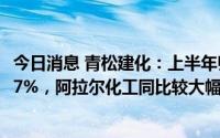 今日消息 青松建化：上半年归母净利2.51亿元，同比增64.47%，阿拉尔化工同比较大幅度减亏