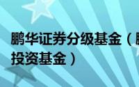 鹏华证券分级基金（鹏华改革红利股票型证券投资基金）