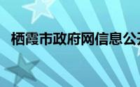 栖霞市政府网信息公开（栖霞市人民政府）