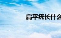 扁平疣长什么样（扁平疣）