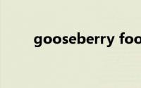 gooseberry fool（gooseberry）