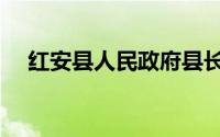 红安县人民政府县长（红安县人民政府）