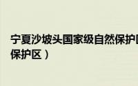 宁夏沙坡头国家级自然保护区名单（宁夏沙坡头国家级自然保护区）