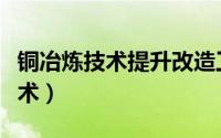 铜冶炼技术提升改造工程订货合同（铜冶炼技术）