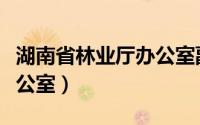 湖南省林业厅办公室副主任（湖南省林业厅办公室）