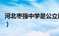 河北枣强中学是公立还是私立（河北枣强中学）