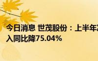 今日消息 世茂股份：上半年净亏损3.48亿元，房地产销售收入同比降75.04%