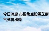 今日消息 市场焦点股黑芝麻低开4.61%，热泵概念股万和电气竞价涨停