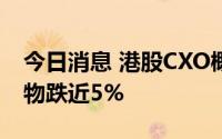 今日消息 港股CXO概念股持续走低，药明生物跌近5%