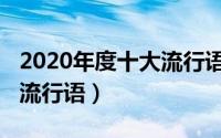 2020年度十大流行语的意思（2020年度十大流行语）