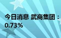 今日消息 武商集团：上半年归母净利同比降40.73%