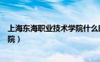 上海东海职业技术学院什么时候开学（上海东海职业技术学院）